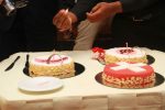 CAKE- (4)